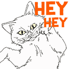 [LINEスタンプ] 猫さん、様子を伺う