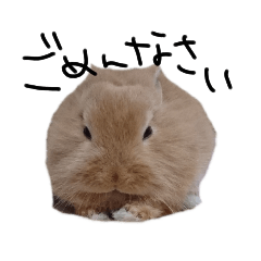 [LINEスタンプ] うちのふてピョン