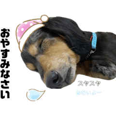 [LINEスタンプ] マロンはダックス。