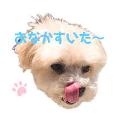 [LINEスタンプ] むーるくん
