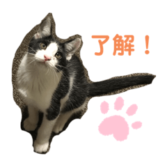 [LINEスタンプ] ハクメロ2+