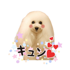 [LINEスタンプ] よつばたん