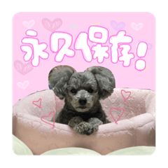 [LINEスタンプ] そらくん part3