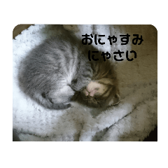 [LINEスタンプ] 海たんと千秋くん（1）