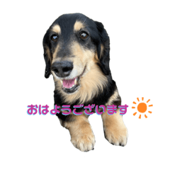 [LINEスタンプ] テン＆しゅう