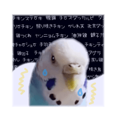 [LINEスタンプ] ピピ(Lv.11)のスタンプ。