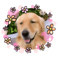 [LINEスタンプ] 愉快な怜央25