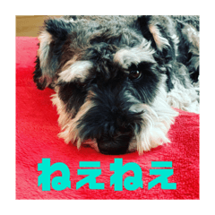[LINEスタンプ] PEAK 2歳の毎日