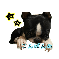 [LINEスタンプ] paku＆peko