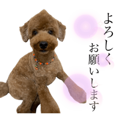 [LINEスタンプ] トイぷぅ