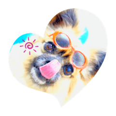 [LINEスタンプ] ライト動物病院 ver4
