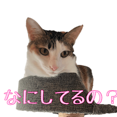 [LINEスタンプ] ももとライム