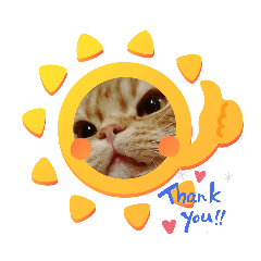 [LINEスタンプ] 可愛いアメリカンショートヘアねこのルタ
