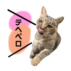 [LINEスタンプ] チョコおばあちゃん