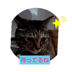 [LINEスタンプ] たのたのぷ