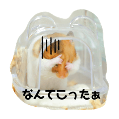 [LINEスタンプ] こなつくんとゆきんこちゃん②