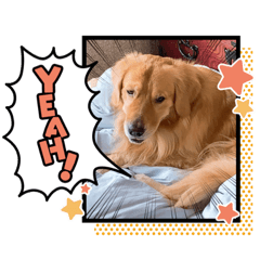 [LINEスタンプ] 愉快な怜央27