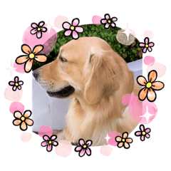 [LINEスタンプ] 愉快な怜央26