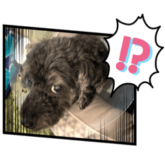 [LINEスタンプ] くうちゃんかわいい vol.2