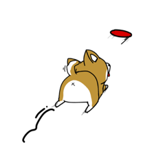 [LINEスタンプ] 柴犬SHIBAのスタンプ