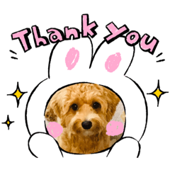 [LINEスタンプ] ムギの日常から