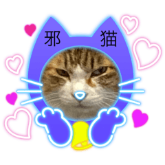 [LINEスタンプ] 邪悪とむ