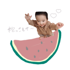 [LINEスタンプ] かいりくん(animal＆fruits)