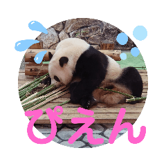 [LINEスタンプ] たけしのスタンプ その13の2