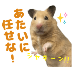 [LINEスタンプ] ハムスターやっこさんのスタンプです。