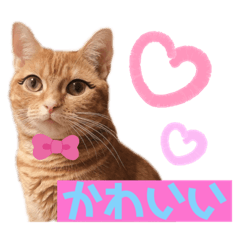 [LINEスタンプ] それゆけみぱぷ！其の三