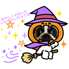 ぶさかわスカイ君(ハロウィン)