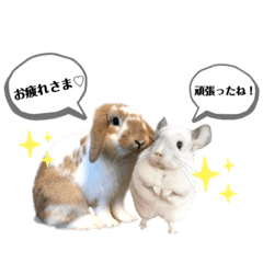 [LINEスタンプ] おもぽての吹き出しスタンプ♡