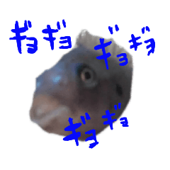 [LINEスタンプ] 元気系しげるです。