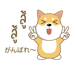 [LINEスタンプ] 柴犬（ピーリュウ）