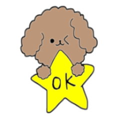 [LINEスタンプ] もふゆるトイプーちゃんの日常