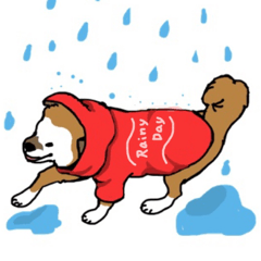 [LINEスタンプ] 雑種わんこキャッチの日常