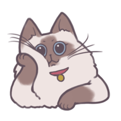 [LINEスタンプ] ねこのシャロちゃん Vol.1.1 まさ汰 By TCJ