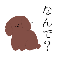 [LINEスタンプ] トイプードル雨のスタンプ