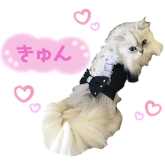 [LINEスタンプ] ねこカフェなる vol.2
