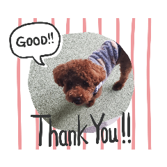 [LINEスタンプ] gap@ajh@k