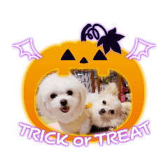 [LINEスタンプ] LUNA＆SEAちゃん mixdog『ハロウィン～』