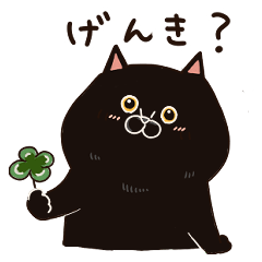 [LINEスタンプ] 黒猫の日常会話【ウチノコイチバン】