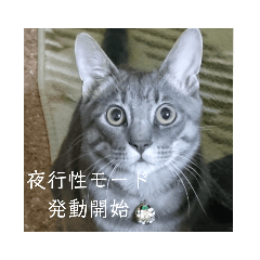 [LINEスタンプ] 千秋くんとうみたん3