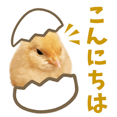 [LINEスタンプ] みりとぴよ