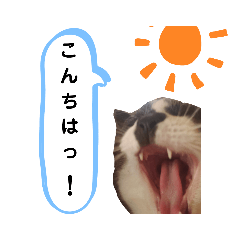 [LINEスタンプ] セブンの日常2（猫）