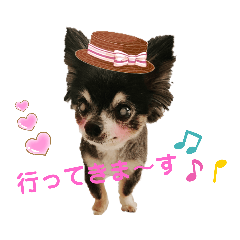 [LINEスタンプ] チワワのセサミ2