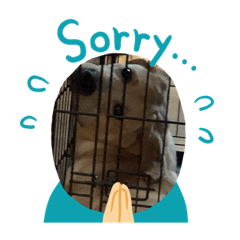 [LINEスタンプ] 青欧スタンプ集