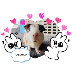 [LINEスタンプ] レオぽん♡