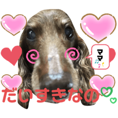 [LINEスタンプ] ダックスたまらん  可愛すぎるセリフ