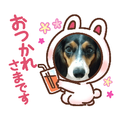 [LINEスタンプ] サナ会話
